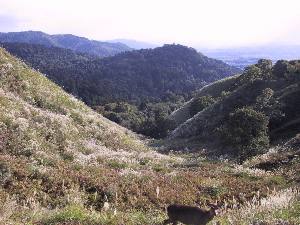 A view from Wakasayama