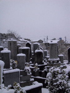 Graves in the Snow