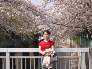 Yuriko and cherry blossoms