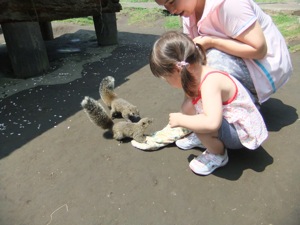 真由喜とリス 真由喜がリスに餌を与えるシーン