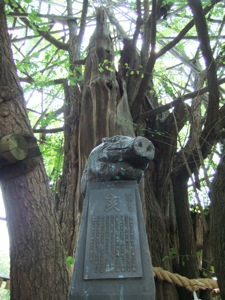 銀杏の神木の前に亥の彫刻