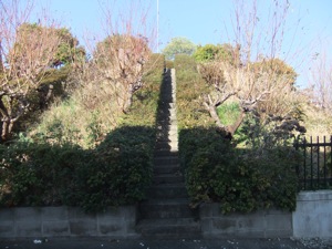 下から仰ぐ馬絹大塚