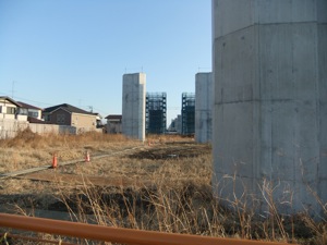 道路を支えるコンクリートの柱の二列