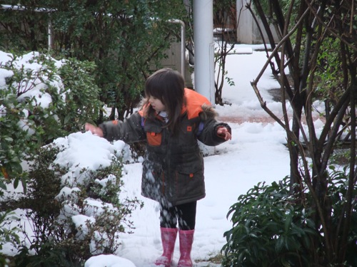真由喜が植物の上に積もった雪を落とす