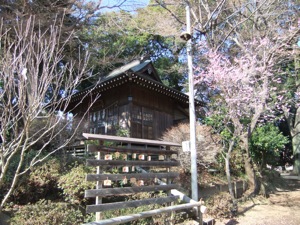 絵馬や咲いている梅の後ろに神社の本殿