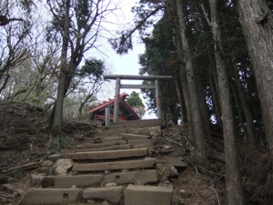 石段の上に立つ鳥居の奥に社殿が見える