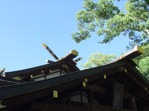 青空を背景にして社殿の屋根と木の梢