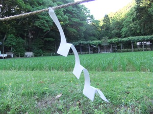 稲が生える田圃の前に紙垂が注連縄から垂らす