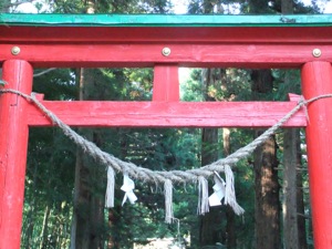 朱塗り鳥居と注連縄の向こうに、杉と参道