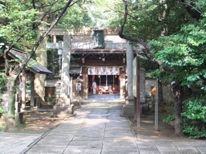 奥の鳥居越に木々に囲まれる社殿が見える