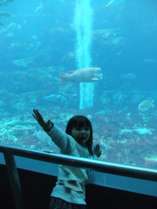 水族館で