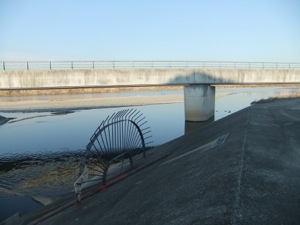 コンクリート製の橋のしたで平瀬川と多摩川が合流