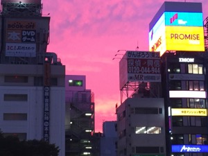 ビルの隙間から紫色の夕焼けが見える