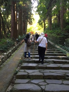 家族が並木のある階段を登る