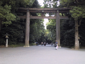 The Meiji jinguu torii