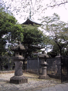 The pagoda at Toshogu Shrine