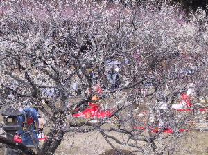 Kyokusuien at Dazaifu