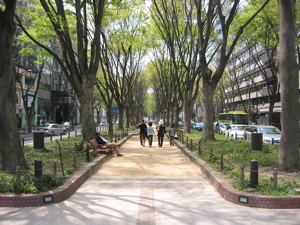 The main road in Sendai